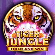 Logo Asia Gaming