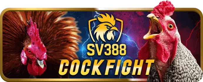 Bước 4: Đăng nhập và bắt đầu chơi